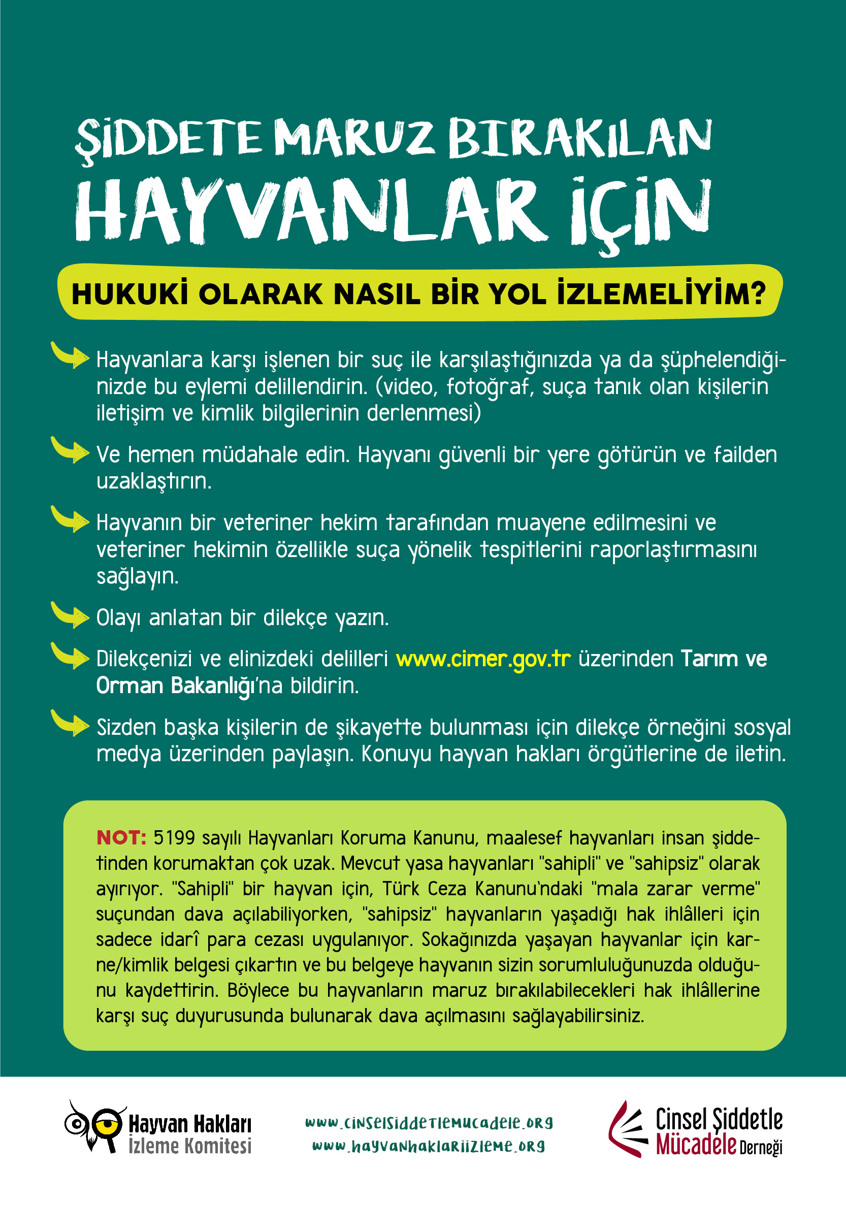 CİNSEL ŞİDDETLE MÜCADELE